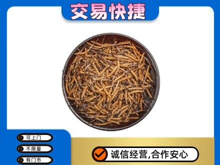 宣城旌德县回收散虫草